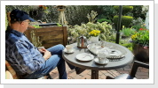 Tee trinen und den Garten genießen Tee trinen und den Garten genießen